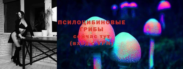 стаф Алексин